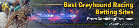 Greyhound Betting Sites: Online Dog Racing Betting Apps.